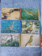 UAE - 6 CARDS OF BIRD - Emiratos Arábes Unidos