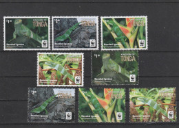 Tonga 2016  - WWF , Fauna,Banded Iguana,complete Series 8 Values ,perforated,MNH ,Mi.2098-2105 - Tonga (1970-...)