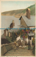 R002089 Clovelly. Rose Cottage And Bay. Photochrom. 1939 - Welt
