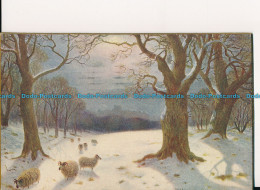 R002104 Panel Greeting Card. Winter Scene. Sheeps. Faulkner. 1914 - Welt
