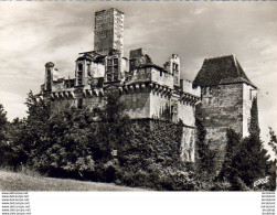 D24  Ruines Du Château De Fages ( SAINT CYPRIEN ) - Autres & Non Classés