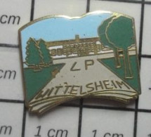 811B Pin's Pins / Beau Et Rare / ADMINISTRATIONS / LYCEE PROFESSIONNEL LP WITTELSHEIM - Administración
