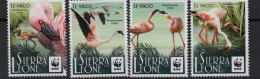 Sierra Leone   Espèces Menacées, Flamants Roses - Endangered Animals , Flamingos 2017 WWF  XXX - Sierra Leone (1961-...)