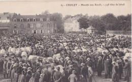 CHOLET Marché Aux Boeufs - Cholet