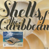 Antigua And Barbuda 2011 - Fauna , Molluscs , Block , Perforated, MNH , Mi.Bl.684 - Antigua And Barbuda (1981-...)