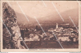 Cm553 Cartolina Bussoleno Foresto Panorama Provincia Di Torino Piemonte - Altri & Non Classificati