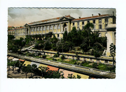 ALGER - Les Facultés - Algiers