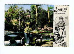 LA ROCHELLE - La Rivière Dans Les Parcs - La Rochelle