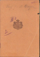 Romanian 1922 Passport For Saxon Professor Gustav Borger From Hermannstadt A2471N - Collezioni