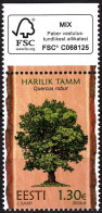 ESTONIA 2024-06 FLORA Plants: Tree English Oak. FSC Margin, MNH - Arbres