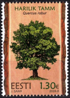 ESTONIA 2024-06 FLORA Plants: Tree English Oak, MNH - Trees