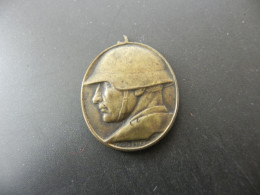 Medaille Medal - 1. World War - Schweiz Suisse Switzerland - Nationalspende - Don National 1918 - Sin Clasificación