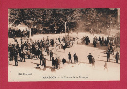 TARASCON - 13 - La Course De La Tarasque - Tarascon