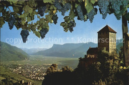 72584151 Meran Merano Castel Tirolo Vista Alla Mendola Schloss Tirol Weinreben W - Autres & Non Classés