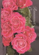 FLOWERS Vintage Postcard CPSM #PAS659.A - Blumen