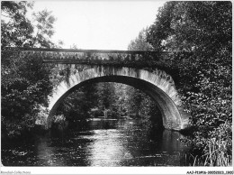 AAJP11-16-0921 - ROUSSINES - Le Pont De Rouchaud Sur La Tardoire - Autres & Non Classés