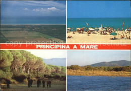 72583682 Principina A Mare Panorama Strand Principina A Mare - Autres & Non Classés