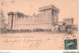 AAJP6-16-0521 - Environs De COGNAC - Château Chesnel - Cognac