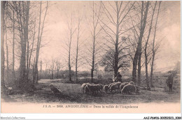 AAJP6-16-0504 - ANGOULEME - Dans La Vallée De L'Anguienne - Angouleme