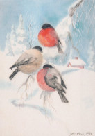 VOGEL Tier Vintage Ansichtskarte Postkarte CPSM #PAN406.A - Vögel