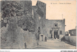 ACFP10-13-0924 - SALON - Entrée Du Chateau  - Salon De Provence