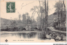 ABHP6-15-0534 - MURAT - Pont De Stalapos - Murat
