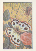 FARFALLA Animale Vintage Cartolina CPSM #PBS437.A - Butterflies
