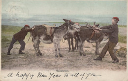 DONKEY Animals Children Vintage Antique Old CPA Postcard #PAA090.A - Anes