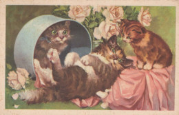 CHAT CHAT Animaux Vintage Carte Postale CPA #PKE754.A - Chats