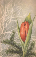 FLOWERS Vintage Ansichtskarte Postkarte CPA #PKE525.A - Blumen