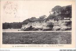 ACWP11-17-0978 - ST-GEORGES DE DIDONNE - Les Rochers De Vallière - Saint-Georges-de-Didonne