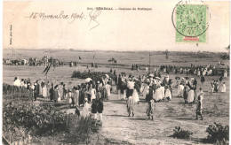 CPA Carte Postale Sénégal Course De RUFISQUE 1904  VM80914 - Senegal