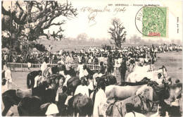 CPA Carte Postale Sénégal Course De RUFISQUE 1904  VM80915 - Senegal