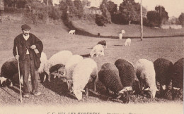 LES PYRENEES - Moutons Au Paturage - Berger - CARRACHE éditeur Pau - Andere & Zonder Classificatie