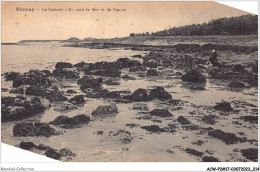 ACWP2-17-0109 - FOURAS LES BAINS - Le Cadoret - Un Coin De Mer Et De Sapin  - Fouras-les-Bains