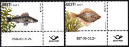ESTONIA 2024-10 EUROPA: Underwater Flora And Fauna. Fish And Seaweed. CORNER, MNH - 2024