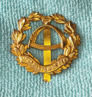 Insigne De Casquette Du 7e Bataillon Du Hampshire Regiment De La Première Guerre Mondiale - 1914-18