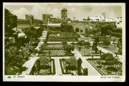 1069 - MAROC - RABAT - Jardin Des Oudaïas - Rabat