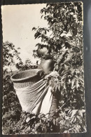 Kivu Mulunguns, La Récolte Du Café, Lib Rassaert, N° 1691 - Congo Belga