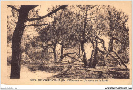 ACWP8-17-0706 - BOYARDVILLE - Un Coin De La Foret - Ile D'Oléron