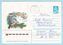 USSR 1984.0619. New Year Greeting (bird). Prestamped Cover, Used - 1980-91
