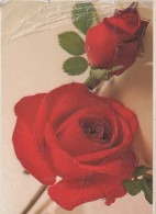 FLOWERS Vintage Postcard CPSM #PAS114.GB - Blumen