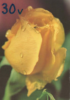 FLOWERS Vintage Postcard CPSM #PAS354.GB - Blumen
