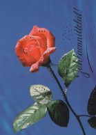 FLOWERS Vintage Postcard CPSM #PAS294.GB - Blumen
