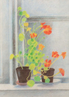 FLOWERS Vintage Postcard CPSM #PAR573.GB - Blumen