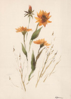 FLOWERS Vintage Postcard CPSM #PAR633.GB - Blumen