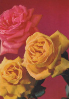 FLOWERS Vintage Postcard CPSM #PAR993.GB - Blumen