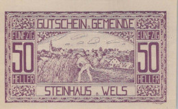 50 HELLER 1920 Stadt STEINHAUS BEI WELS Oberösterreich Österreich UNC Österreich #PH097 - [11] Local Banknote Issues