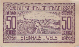 50 HELLER 1920 Stadt STEINHAUS BEI WELS Oberösterreich Österreich Notgeld Papiergeld Banknote #PG703 - Lokale Ausgaben