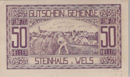 50 HELLER 1920 Stadt STEINHAUS BEI WELS Oberösterreich Österreich Notgeld #PE687 - Lokale Ausgaben